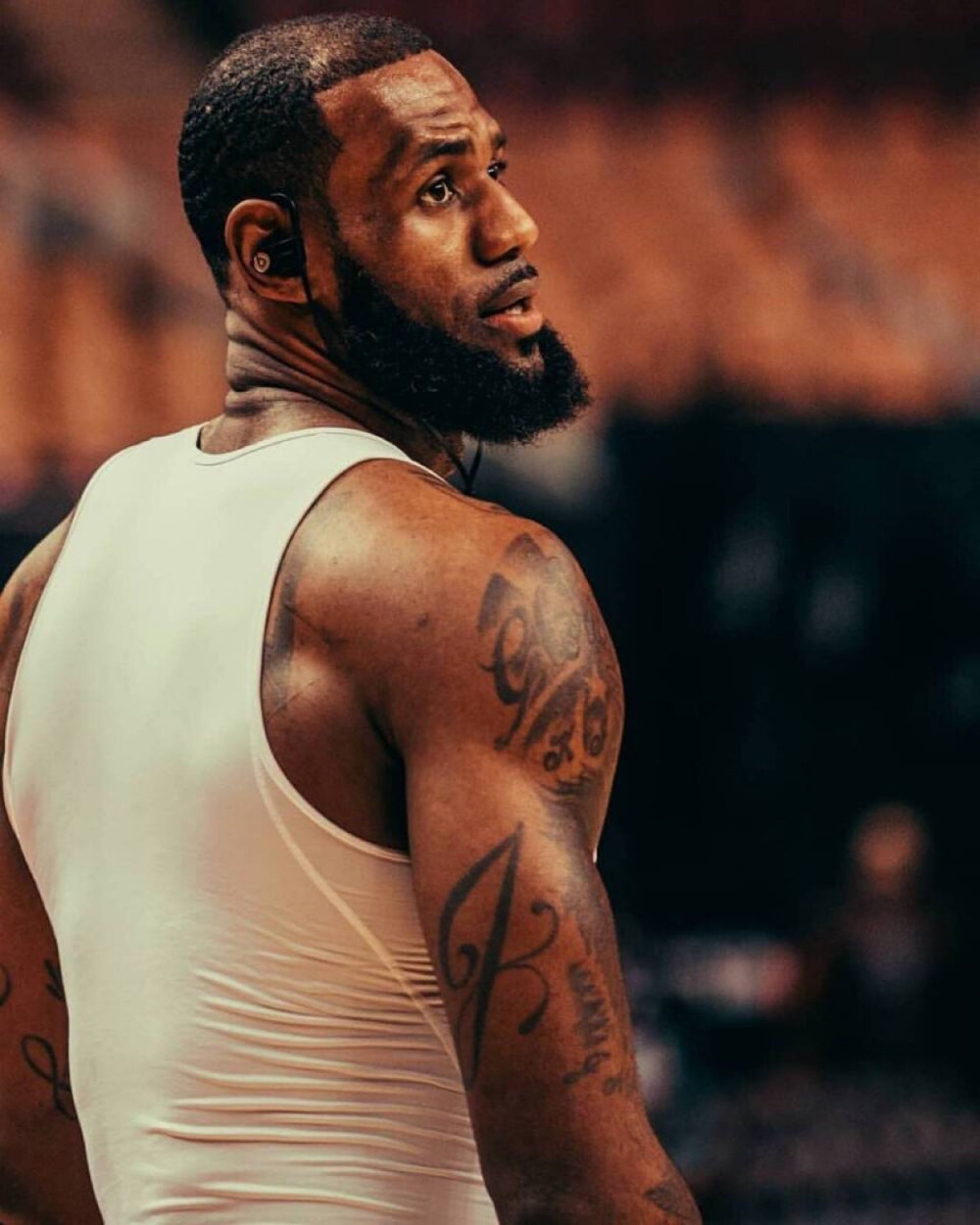 以小样本高 以小样本高